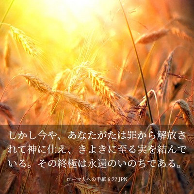 Picture 03 - ローマ人への手紙 6:22 JPN - しかし今や、あなたがたは罪から解 - Bible Verse Picture