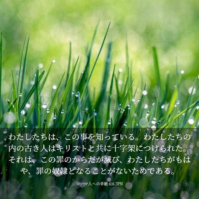 Picture 03 - ローマ人への手紙 6:6 JPN - わたしたちは、この事を知っている - Bible Verse Picture