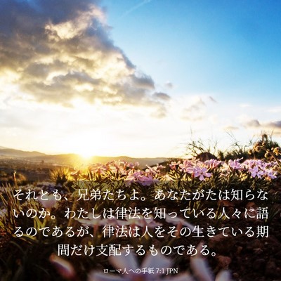 Picture 03 - ローマ人への手紙 7:1 JPN - それとも、兄弟たちよ。あなたがた - Bible Verse Picture