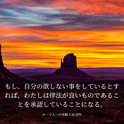 Picture 03 - ローマ人への手紙 7:16 JPN - もし、自分の欲しない事をしている - Bible Verse Picture