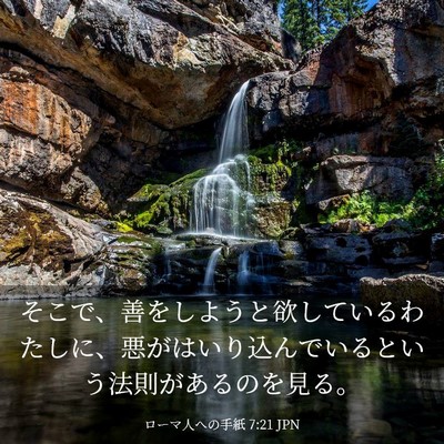 Picture 03 - ローマ人への手紙 7:21 JPN - そこで、善をしようと欲しているわ - Bible Verse Picture
