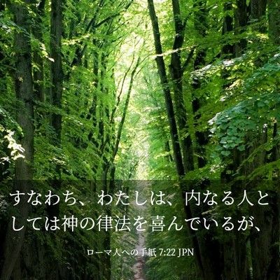 Picture 03 - ローマ人への手紙 7:22 JPN - すなわち、わたしは、内なる人とし - Bible Verse Picture