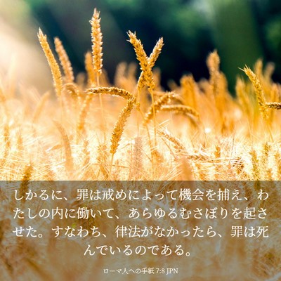 Picture 03 - ローマ人への手紙 7:8 JPN - しかるに、罪は戒めによって機会を - Bible Verse Picture