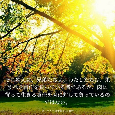 Picture 03 - ローマ人への手紙 8:12 JPN - それゆえに、兄弟たちよ。わたした - Bible Verse Picture