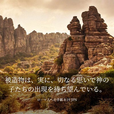 Picture 03 - ローマ人への手紙 8:19 JPN - 被造物は、実に、切なる思いで神の - Bible Verse Picture