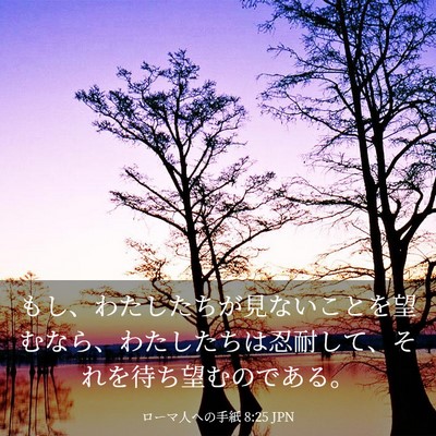 Picture 03 - ローマ人への手紙 8:25 JPN - もし、わたしたちが見ないことを望 - Bible Verse Picture