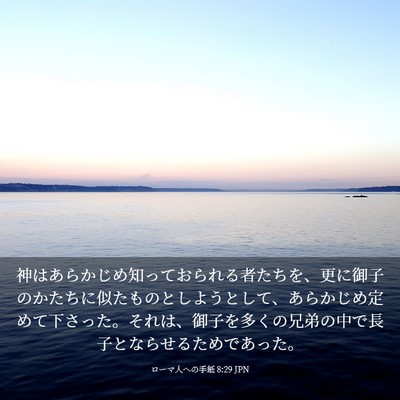 Picture 03 - ローマ人への手紙 8:29 JPN - 神はあらかじめ知っておられる者た - Bible Verse Picture