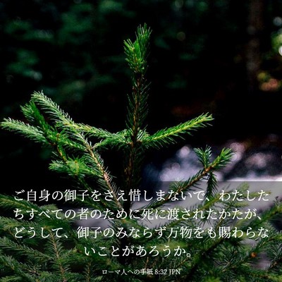 Picture 03 - ローマ人への手紙 8:32 JPN - ご自身の御子をさえ惜しまないで、 - Bible Verse Picture