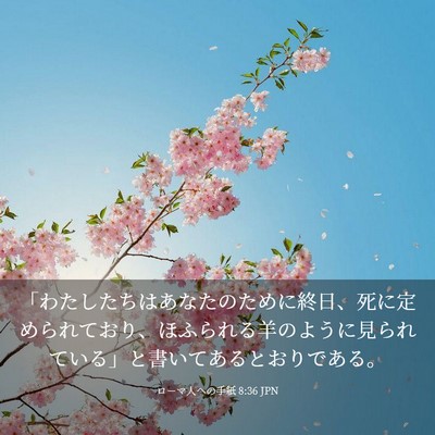 Picture 03 - ローマ人への手紙 8:36 JPN - 「わたしたちはあなたのために終日 - Bible Verse Picture