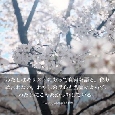 Picture 03 - ローマ人への手紙 9:1 JPN - わたしはキリストにあって真実を語 - Bible Verse Picture