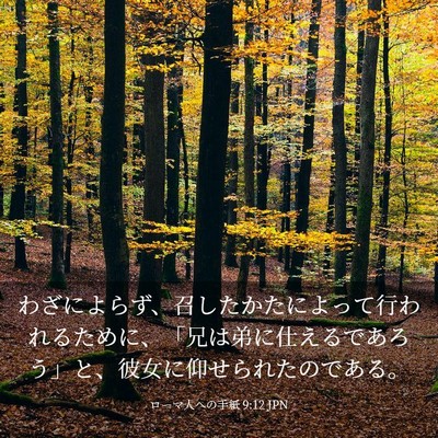 Picture 03 - ローマ人への手紙 9:12 JPN - わざによらず、召したかたによって - Bible Verse Picture