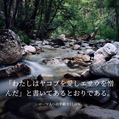 Picture 03 - ローマ人への手紙 9:13 JPN - 「わたしはヤコブを愛しエサウを憎 - Bible Verse Picture