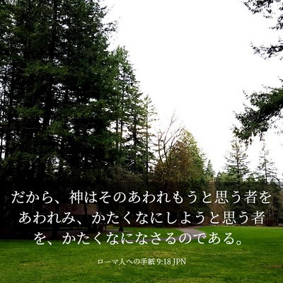 Picture 03 - ローマ人への手紙 9:18 JPN - だから、神はそのあわれもうと思う - Bible Verse Picture