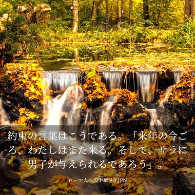 Picture 03 - ローマ人への手紙 9:9 JPN - 約束の言葉はこうである。「来年の - Bible Verse Picture