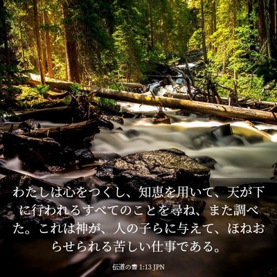 Picture 03 - 伝道の書 1:13 JPN - わたしは心をつくし、知恵を用いて - Bible Verse Picture