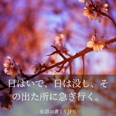 Picture 03 - 伝道の書 1:5 JPN - 日はいで、日は没し、その出た所に - Bible Verse Picture