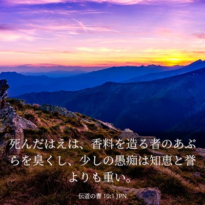 Picture 03 - 伝道の書 10:1 JPN - 死んだはえは、香料を造る者のあぶ - Bible Verse Picture