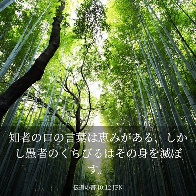 Picture 03 - 伝道の書 10:12 JPN - 知者の口の言葉は恵みがある、しか - Bible Verse Picture