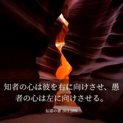 Picture 03 - 伝道の書 10:2 JPN - 知者の心は彼を右に向けさせ、愚者 - Bible Verse Picture