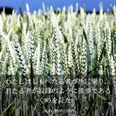 Picture 03 - 伝道の書 10:7 JPN - わたしはしもべたる者が馬に乗り、 - Bible Verse Picture