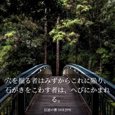 Picture 03 - 伝道の書 10:8 JPN - 穴を掘る者はみずからこれに陥り、 - Bible Verse Picture