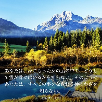 Picture 03 - 伝道の書 11:5 JPN - あなたは、身ごもった女の胎の中で - Bible Verse Picture