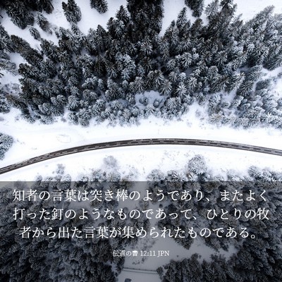 Picture 03 - 伝道の書 12:11 JPN - 知者の言葉は突き棒のようであり、 - Bible Verse Picture