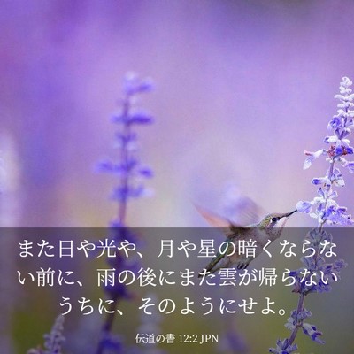 Picture 03 - 伝道の書 12:2 JPN - また日や光や、月や星の暗くならな - Bible Verse Picture
