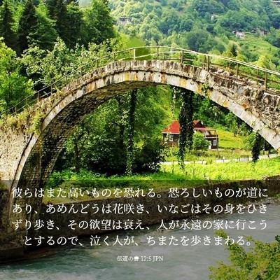 Picture 03 - 伝道の書 12:5 JPN - 彼らはまた高いものを恐れる。恐ろ - Bible Verse Picture