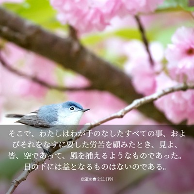 Picture 03 - 伝道の書 2:11 JPN - そこで、わたしはわが手のなしたす - Bible Verse Picture
