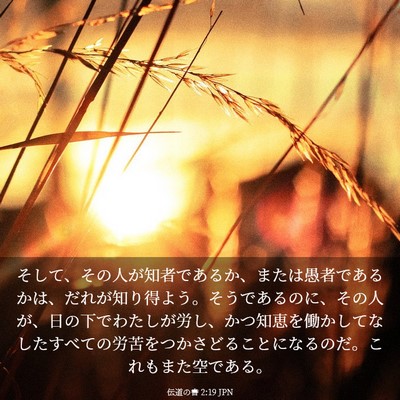 Picture 03 - 伝道の書 2:19 JPN - そして、その人が知者であるか、ま - Bible Verse Picture