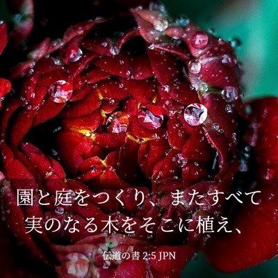 Picture 03 - 伝道の書 2:5 JPN - 園と庭をつくり、またすべて実のな - Bible Verse Picture
