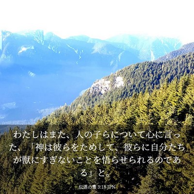 Picture 03 - 伝道の書 3:18 JPN - わたしはまた、人の子らについて心 - Bible Verse Picture