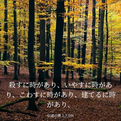 Picture 03 - 伝道の書 3:3 JPN - 殺すに時があり、いやすに時があり - Bible Verse Picture