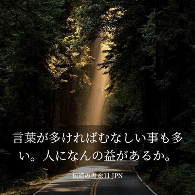 Picture 03 - 伝道の書 6:11 JPN - 言葉が多ければむなしい事も多い。 - Bible Verse Picture