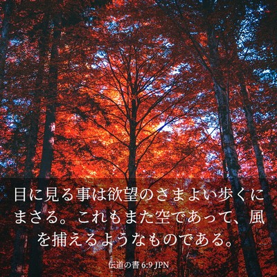 Picture 03 - 伝道の書 6:9 JPN - 目に見る事は欲望のさまよい歩くに - Bible Verse Picture