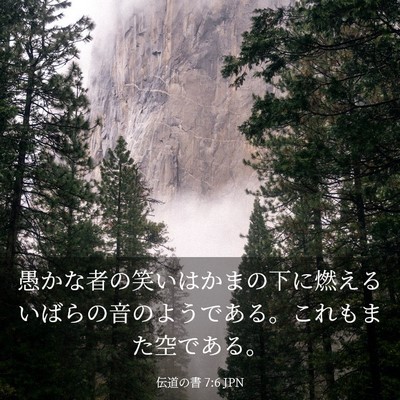 Picture 03 - 伝道の書 7:6 JPN - 愚かな者の笑いはかまの下に燃える - Bible Verse Picture