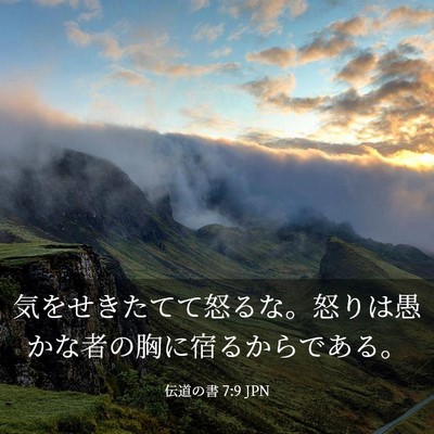 Picture 03 - 伝道の書 7:9 JPN - 気をせきたてて怒るな。怒りは愚か - Bible Verse Picture