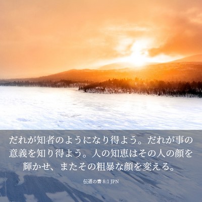 Picture 03 - 伝道の書 8:1 JPN - だれが知者のようになり得よう。だ - Bible Verse Picture