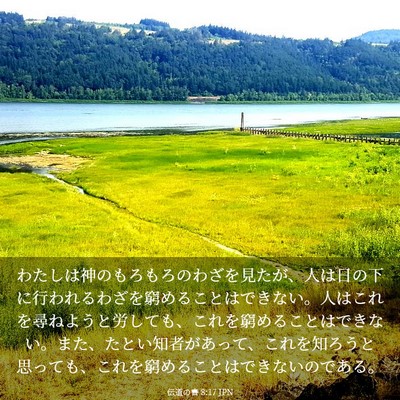 Picture 03 - 伝道の書 8:17 JPN - わたしは神のもろもろのわざを見た - Bible Verse Picture