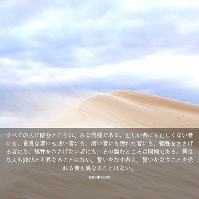 Picture 03 - 伝道の書 9:2 JPN - すべての人に臨むところは、みな同 - Bible Verse Picture