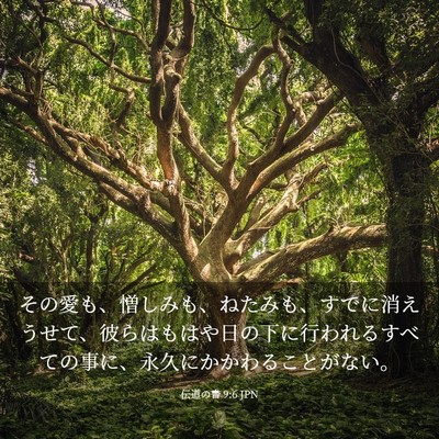 Picture 03 - 伝道の書 9:6 JPN - その愛も、憎しみも、ねたみも、す - Bible Verse Picture