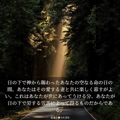 Picture 03 - 伝道の書 9:9 JPN - 日の下で神から賜わったあなたの空 - Bible Verse Picture