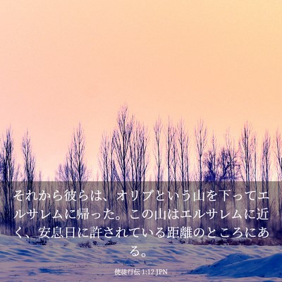 Picture 03 - 使徒行伝 1:12 JPN - それから彼らは、オリブという山を - Bible Verse Picture