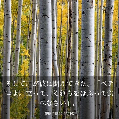 Picture 03 - 使徒行伝 10:13 JPN - そして声が彼に聞えてきた、「ペテ - Bible Verse Picture