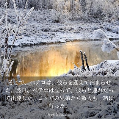 Picture 03 - 使徒行伝 10:23 JPN - そこで、ペテロは、彼らを迎えて泊 - Bible Verse Picture