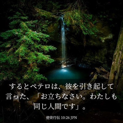 Picture 03 - 使徒行伝 10:26 JPN - するとペテロは、彼を引き起して言 - Bible Verse Picture