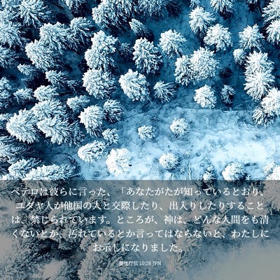 Picture 03 - 使徒行伝 10:28 JPN - ペテロは彼らに言った、「あなたが - Bible Verse Picture