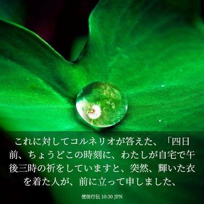 Picture 03 - 使徒行伝 10:30 JPN - これに対してコルネリオが答えた、 - Bible Verse Picture