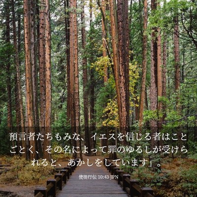 Picture 03 - 使徒行伝 10:43 JPN - 預言者たちもみな、イエスを信じる - Bible Verse Picture
